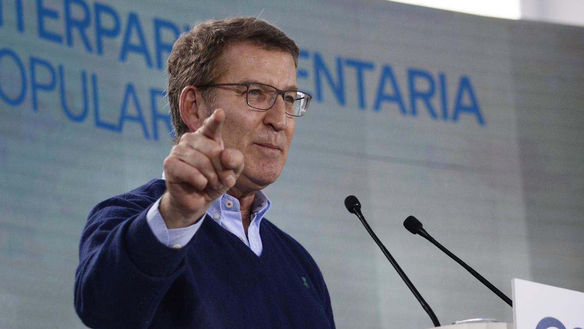 El líder del PP, Alberto Nuñez Feijóo, ha dicho que se va a volcar en las elecciones gallegas.