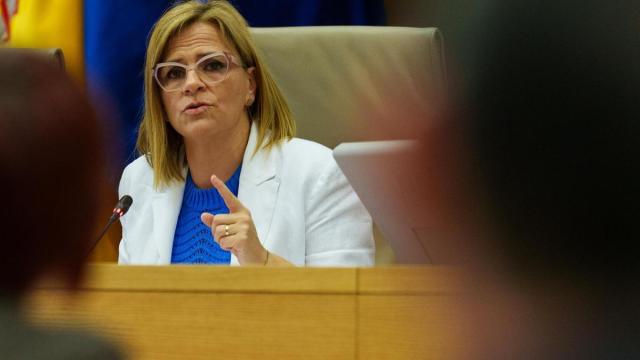 La delegada del Gobierno en la Comunidad Valenciana, Pilar Bernabé García.
