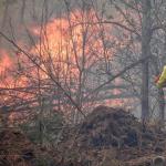 Un bombero participa en las labores de extinción