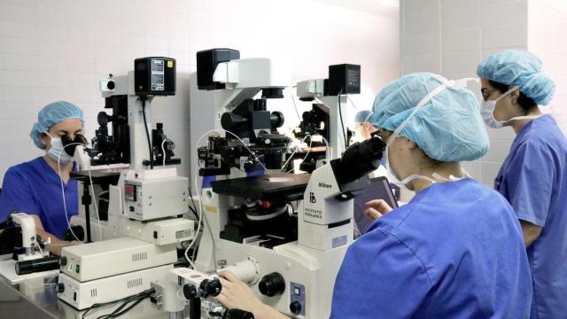 Los laboratorios cada vez detectan más anomalías en la calidad del semen. Los laboratorios cada vez detectan más anomalías en la calidad del semen.