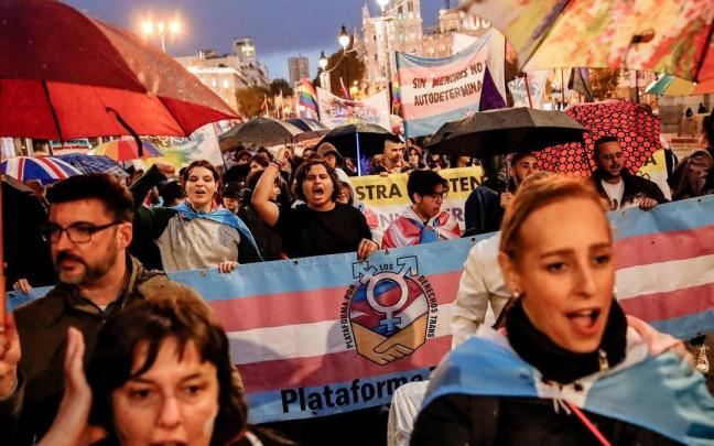 Manifestantes durante una marcha convocada por ‘Federación Plataforma Trans’.