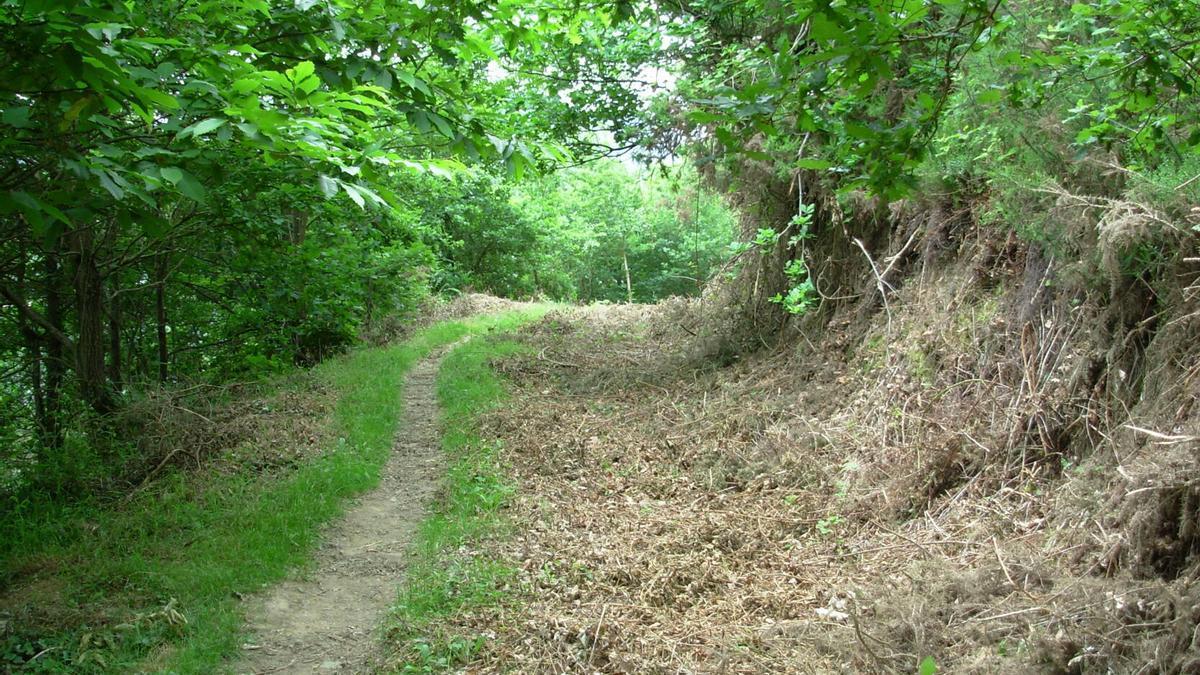 Se contratarán a ocho personas para el mantenimiento de espacios naturales y caminos de titularidad municipal.