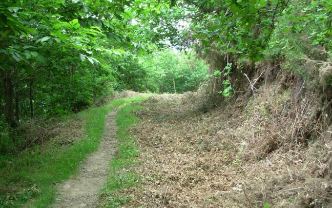 Se contratarán a ocho personas para el mantenimiento de espacios naturales y caminos de titularidad municipal.
