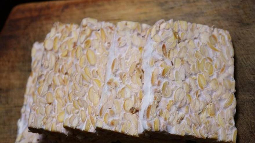 Tempeh en bloques compactos de color blanquecino