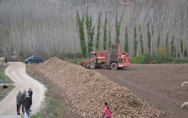 Una finca en producción en Álava
