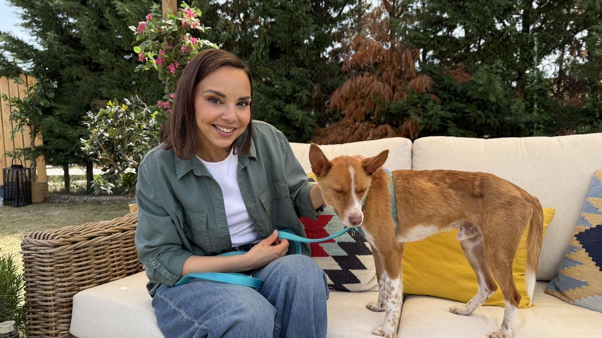 Chenoa repite como presentadora de 'Dog House'.