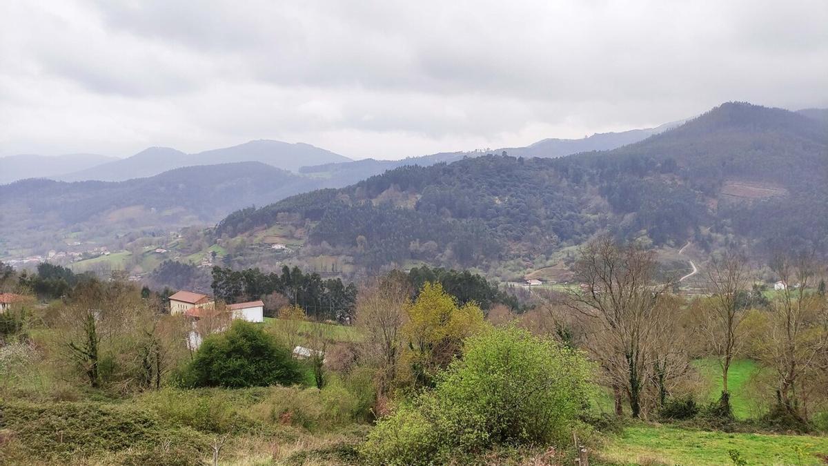 El proyecto de central eólica Artzentales-Sopuerta promovido por la empresa Euskal Haizie S.L. prevé ocho aerogeneradores entre los montes Alén y Mello que se ubicarían en suelos de Artzentales, Galdames, Muskiz y Sopuerta.