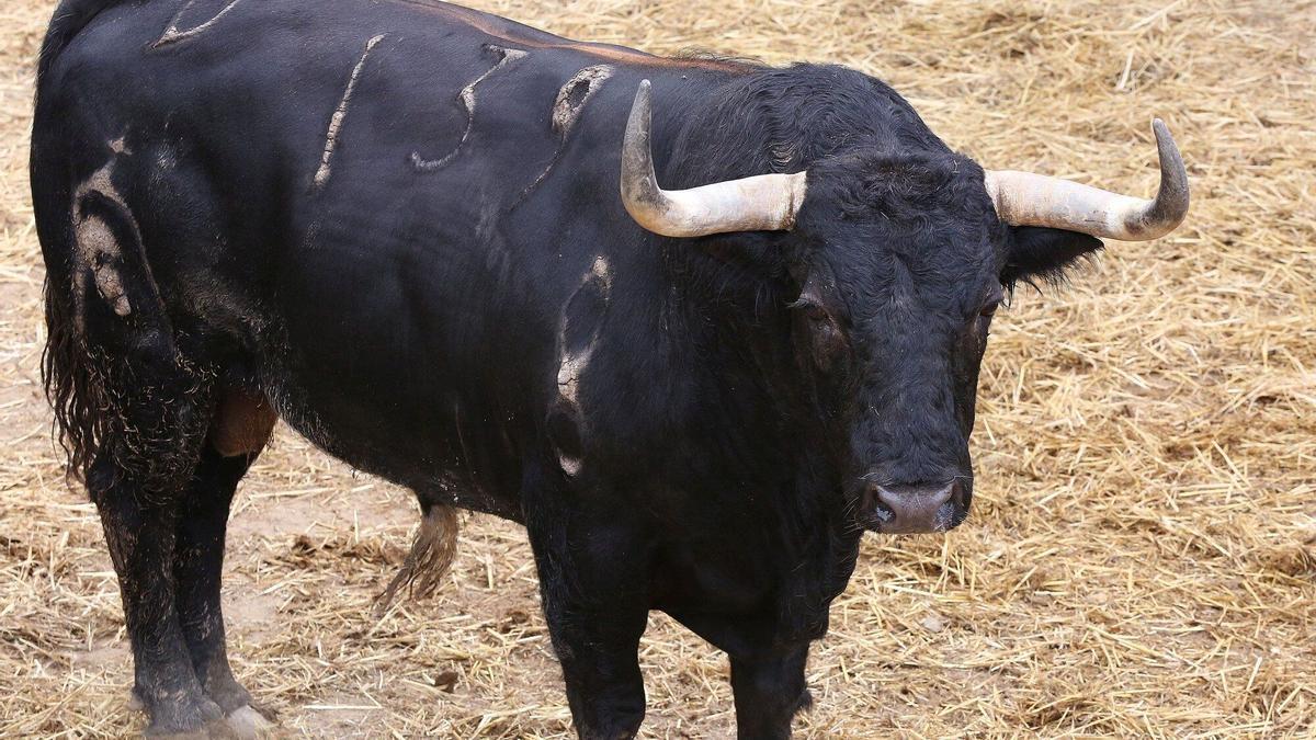 Cuarto encierro de San Fermín, con toros de Fuente Ymbro
