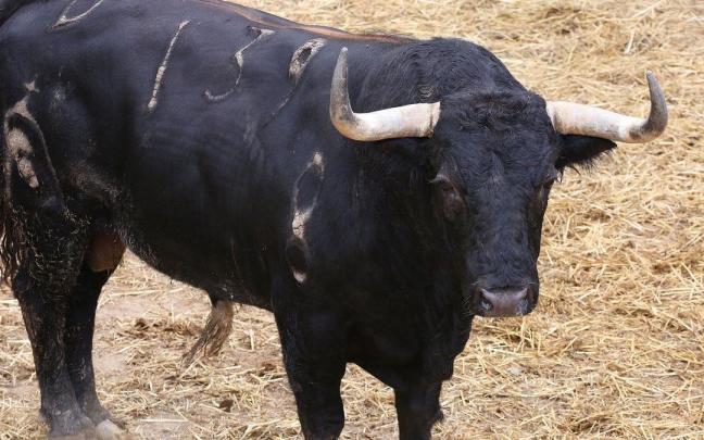 Cuarto encierro de San Fermín, con toros de Fuente Ymbro