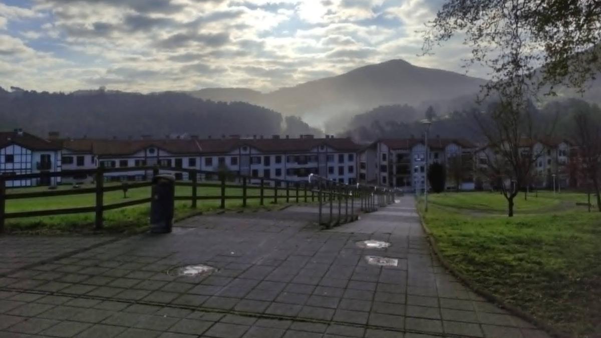 Vecinos de Arrigorriaga achacan el origen a humos procedentes de empresas del entorno
