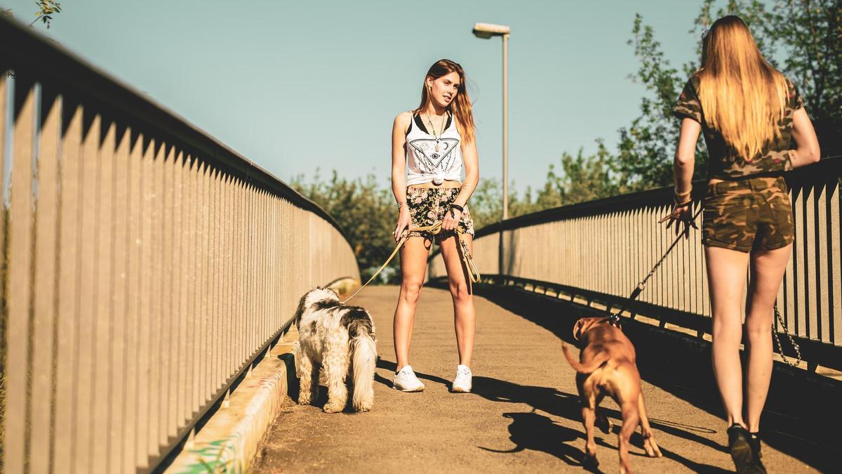 Dos jóvenes disfrutan de un paseo al aire libre con sus perros.