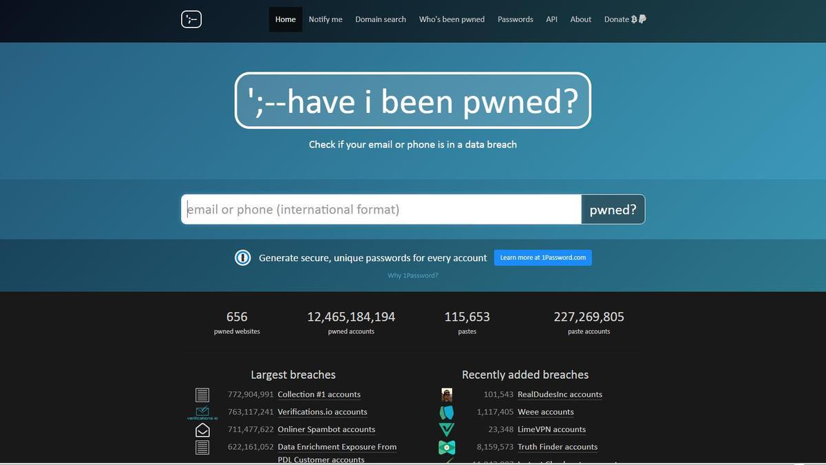 Pantalla de búsqueda y consulta de posibles filtraciones en internet