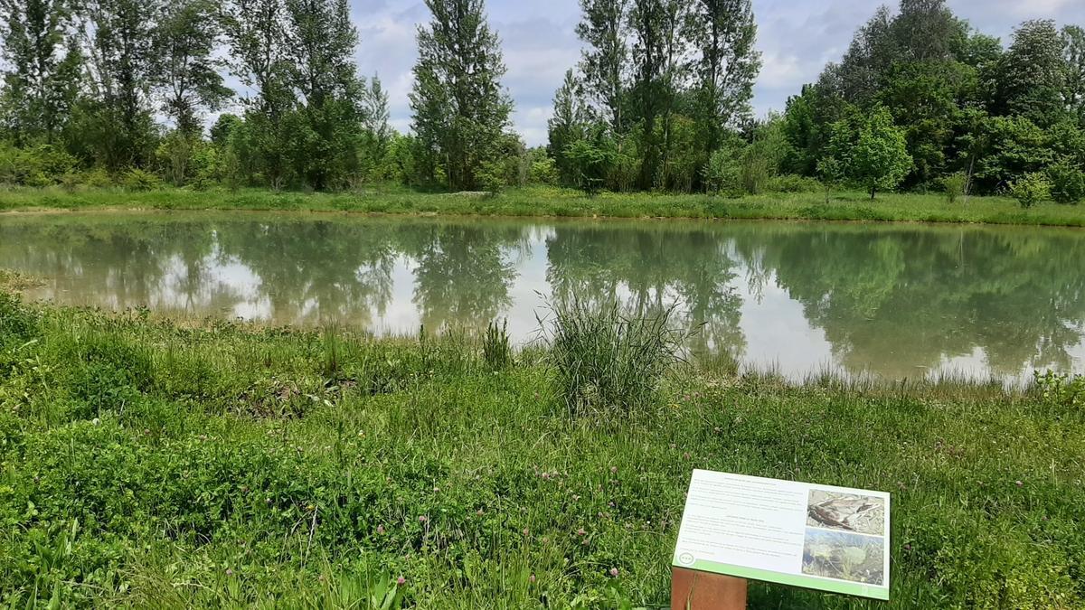 Biodibertsitatea Kontserbatzeko Gasteizko bigarren Estrategiak udal-lurraldeko babestutako naturaguneak % 30eraino handitzea jasotzen du.