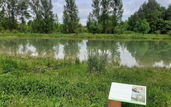 Biodibertsitatea Kontserbatzeko Gasteizko bigarren Estrategiak udal-lurraldeko babestutako naturaguneak % 30eraino handitzea jasotzen du.