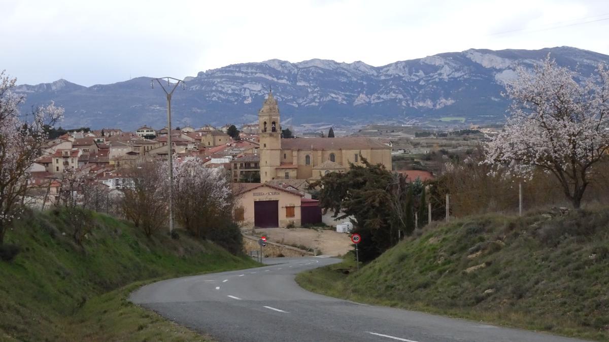 Elciego