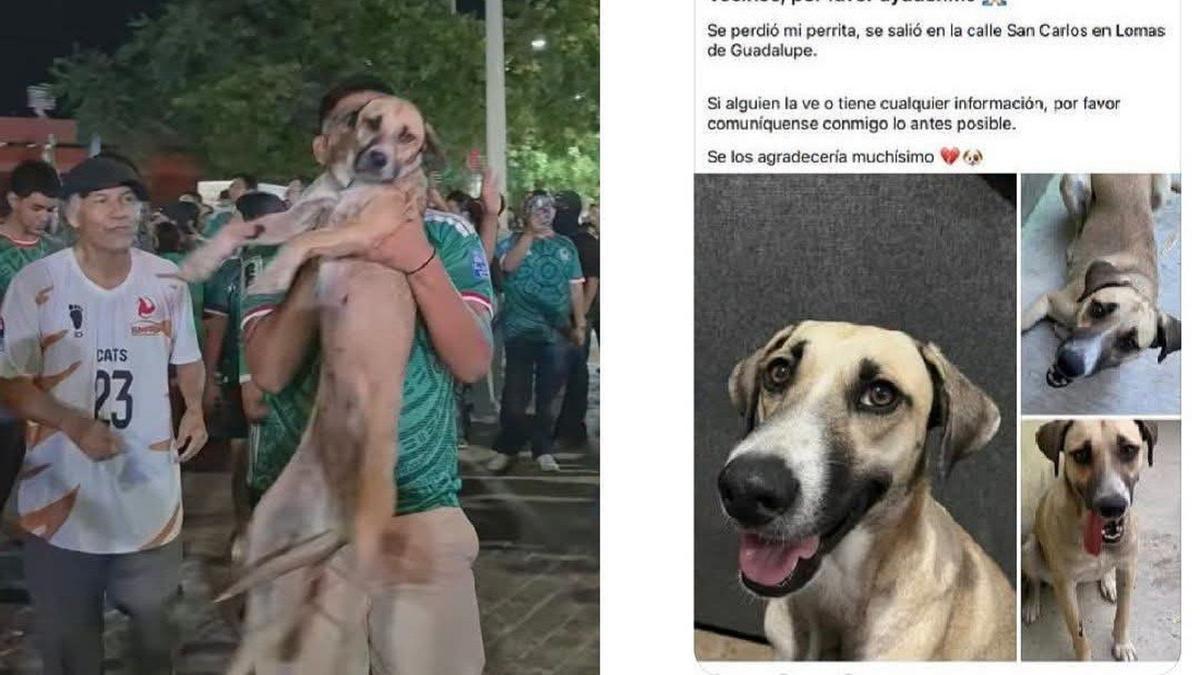 La familia de Gorda la encontró "sin querer".