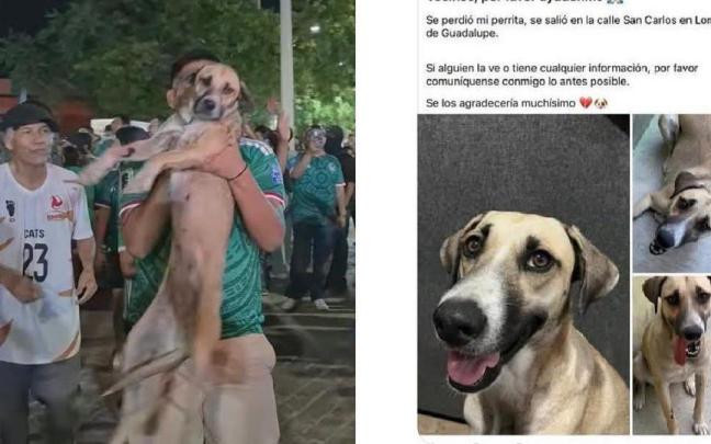 La familia de Gorda la encontró "sin querer".