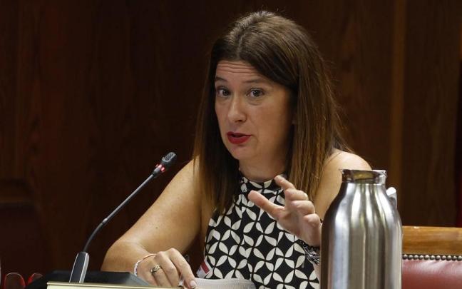 La exmilitante del PSOE Leire Díez en la comisión que investiga el 'caso Koldo' en el Senado.