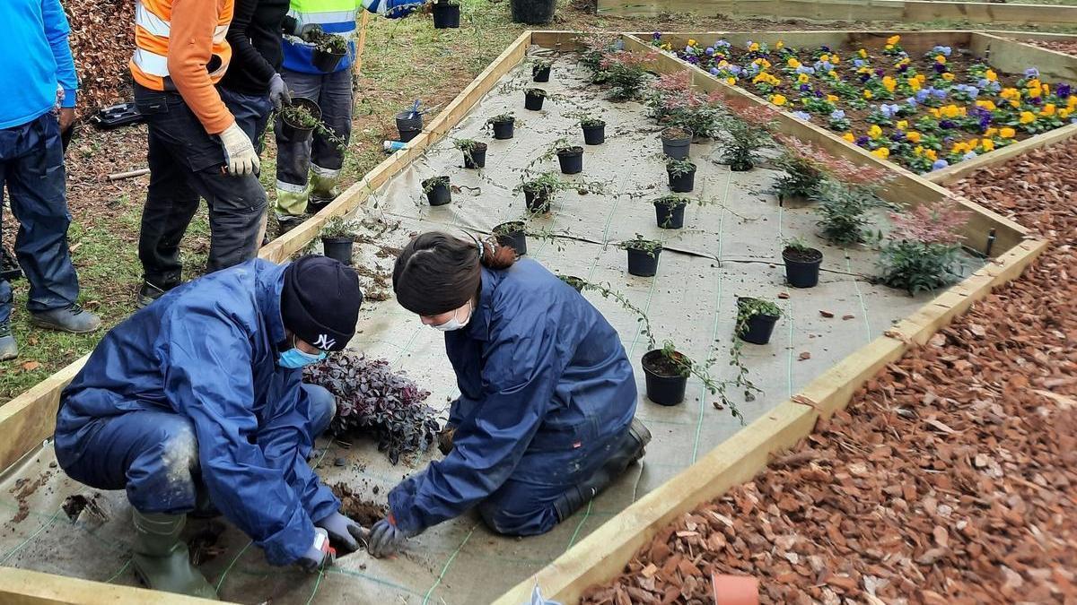 Bazterkeria egoeran dauden pertsonen enplegagarritasuna eta gizarteratzea bultzatu nahian hainbat programa eta prestakuntza abiarazten ari dira Goierrin, besteak beste, lorezaintzari buruzko ikastaroa eskaini da Zizurkilen, Fraisoro Lanbide Eskolaren esku
