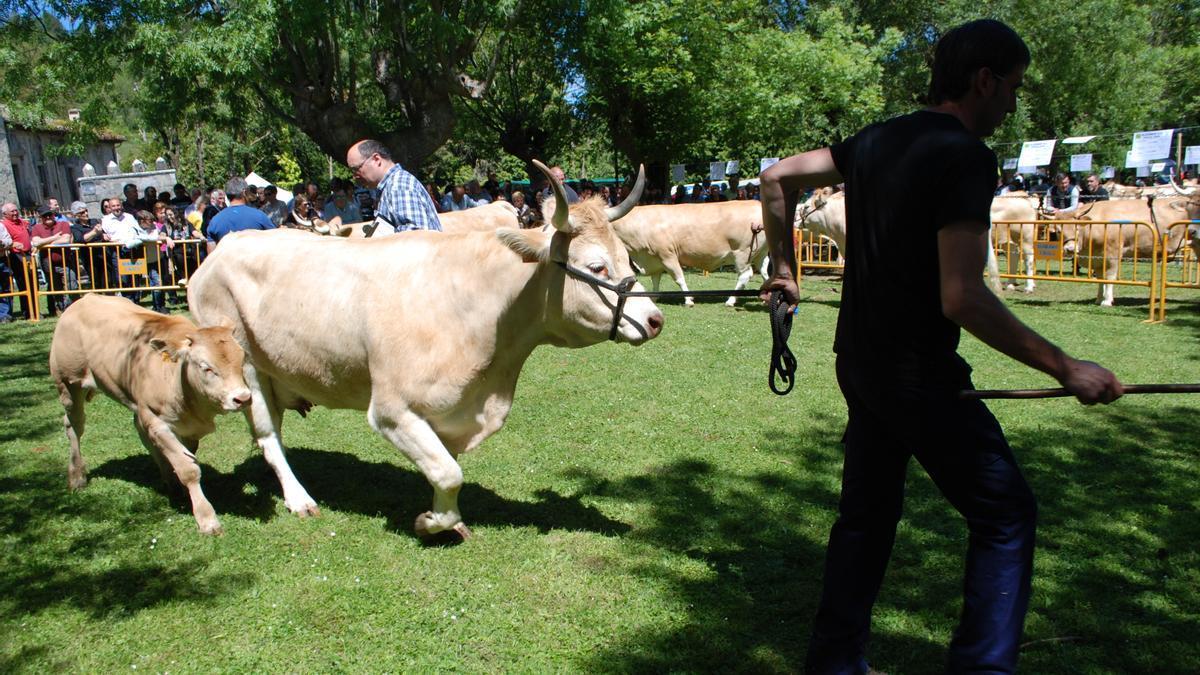 Feria de San Isidro en la localidad ayalesa de Respaldiza