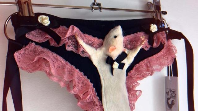 Imagen de una de las prendas de lencería de Rat Gizzard Oddities