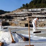 Vista de trabajadores del valle salado