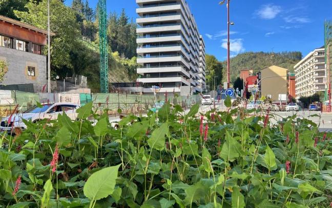 Respuesta ciudadana en el proceso participativo