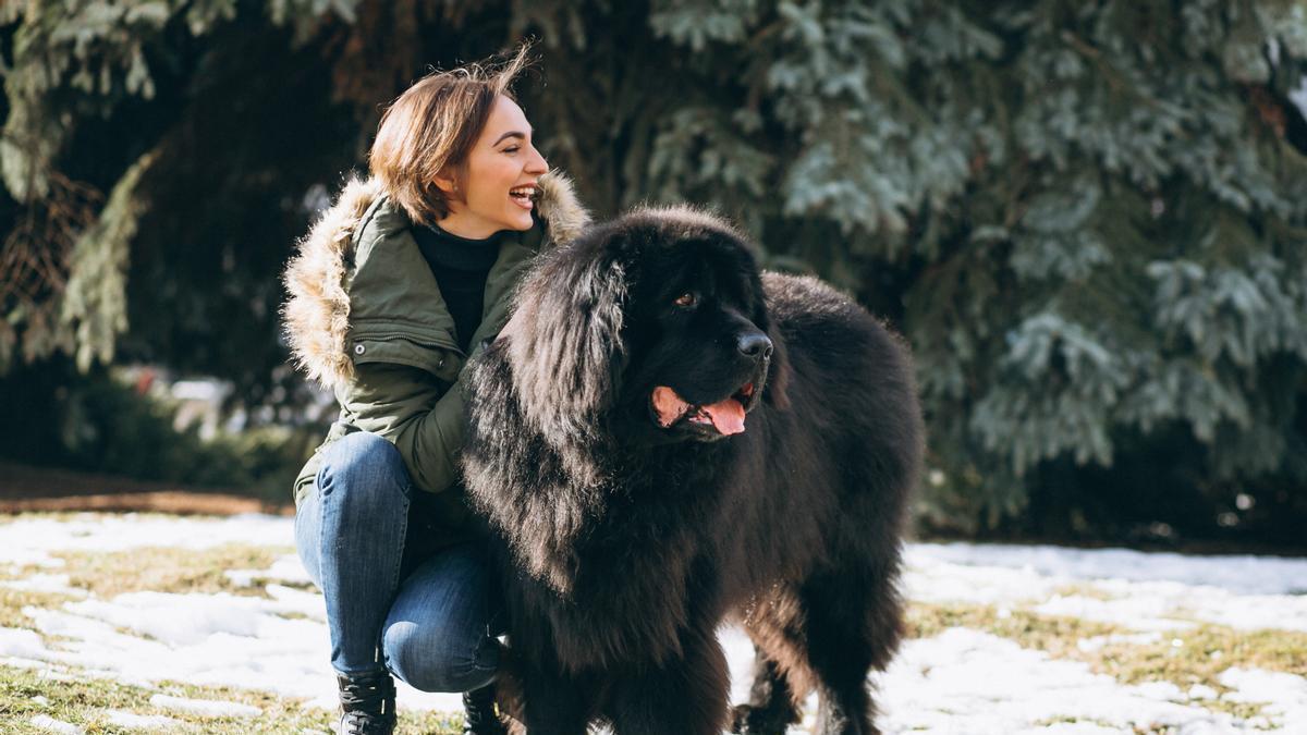 Una mujer con un perro de la raza terranova.