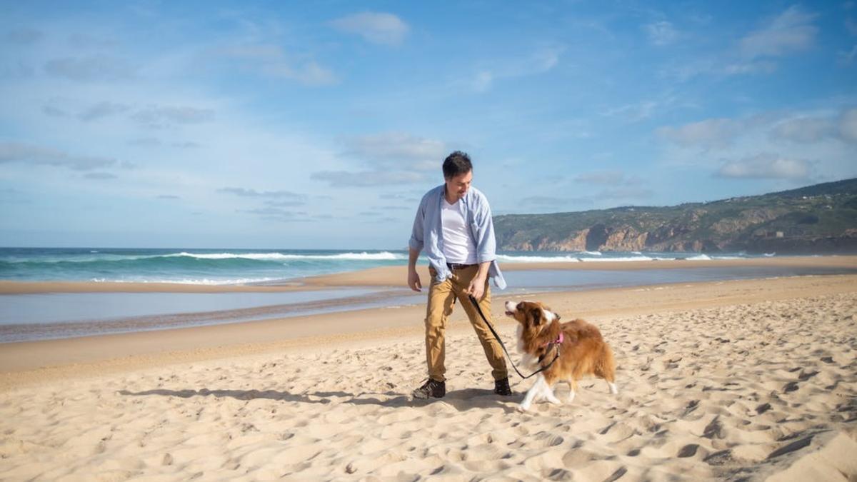 Un hombre pasea con su perro por una playa