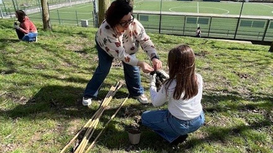 Escolares de Basauri en una edición anterior de la jornada de plantación