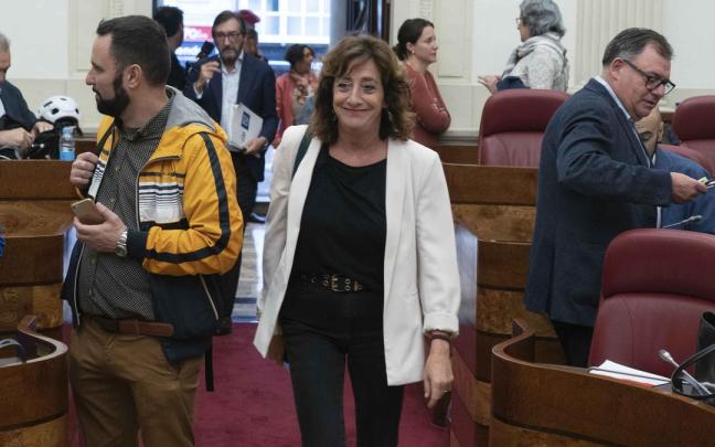 Eva Lopez de Arroyabe (EH Bildu) accede a un Pleno de las Juntas Generales.