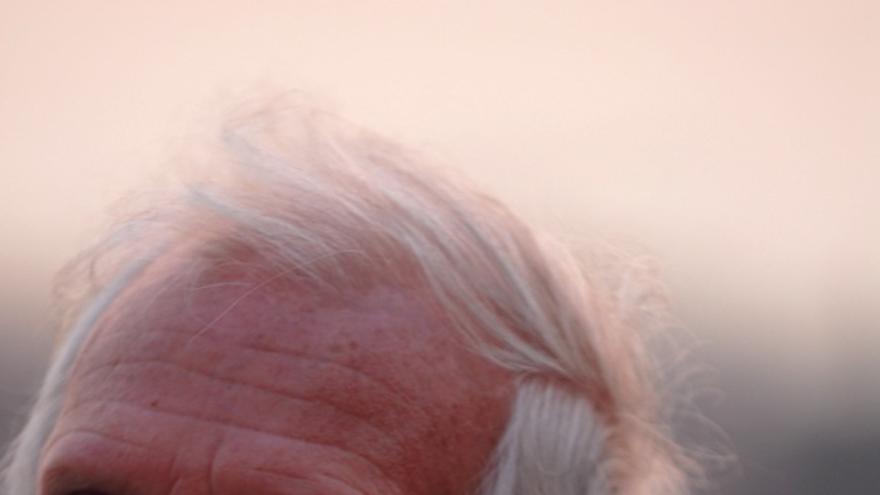 El pintor Josep Navarro