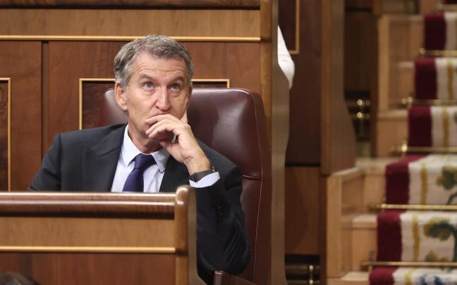 El presidente del Partido Popular, Alberto Núñez Feijóo, durante una sesión plenaria, en el Congreso de los Diputados