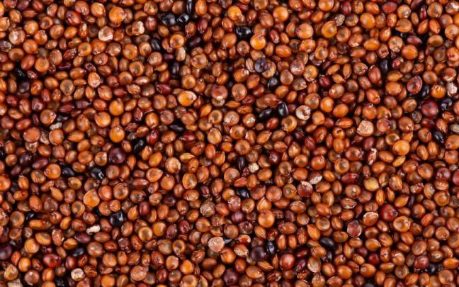 El cereal sin gluten que potencia la memoria y se consume en diversas formas.