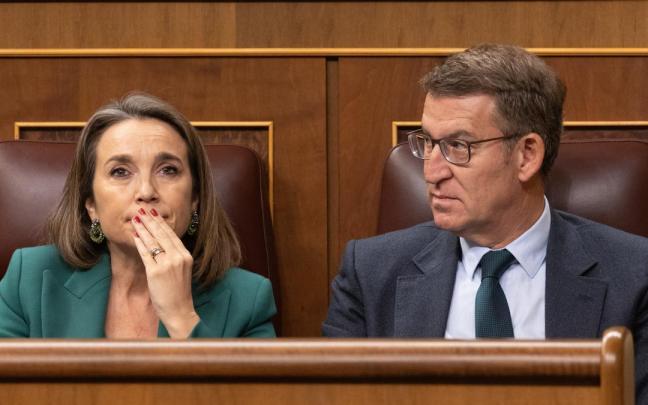 Cuca Gamarra junto a Alberto Núñez Feijóo en el Congreso.