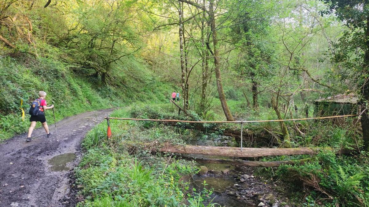 Remontando la erreka