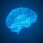 Un cerebro con una enfermedad degenerativa.