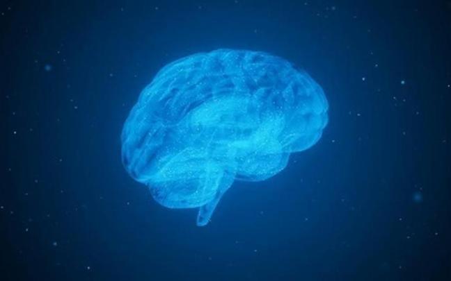 Un cerebro con una enfermedad degenerativa.