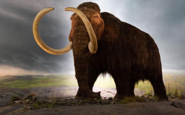 Recreación de un mamut lanudo.