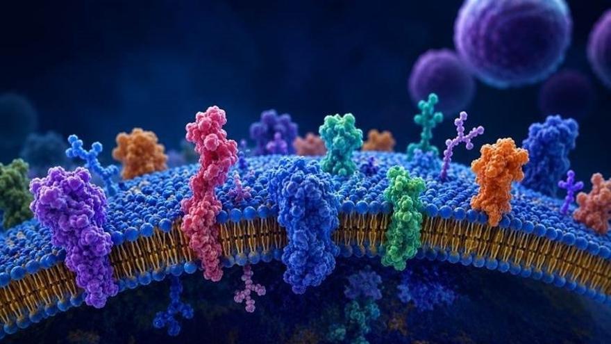 Representación de las proteínas de superficie de la membrana celular.