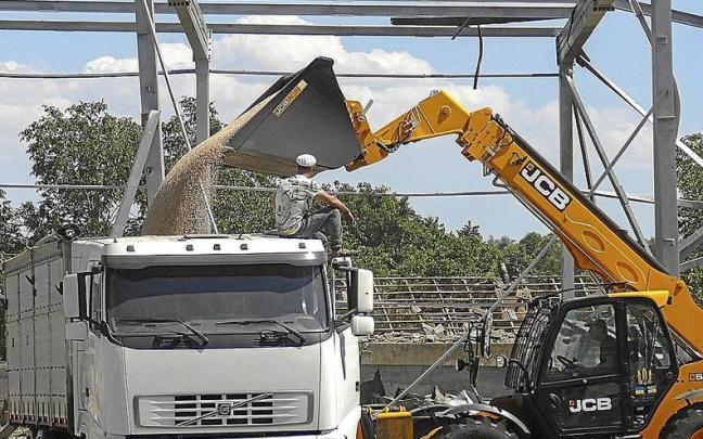Un camionero observa cómo se carga grano ucraniano en su camión en el puerto de Odesa. | FOTO: EFE