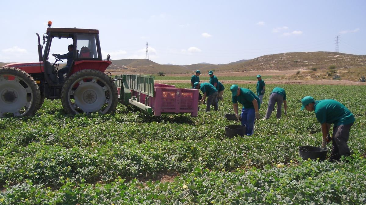 La subida salarial de los trabajadores de la agricultura fue del 3,63%.