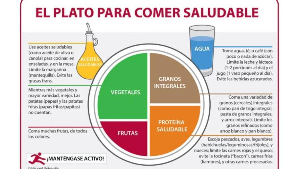Plato saludable