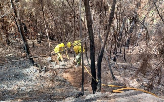 Brigadas Forestales del Cabildo de Tenerife intervienen en las labores de extinción del incendio declarado el pasado agosto en la isla