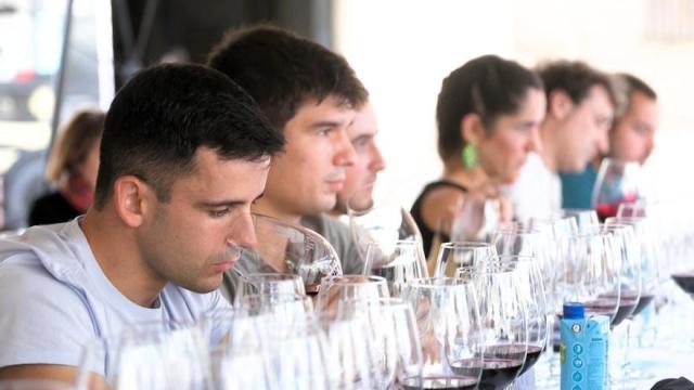 Una cata de vinos Rioja Alavesa
