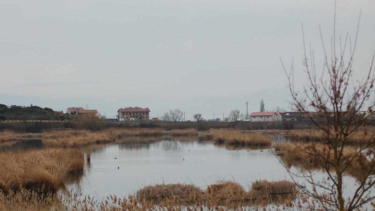 Una de las vistas del recorrido de lagunas por Laguardia