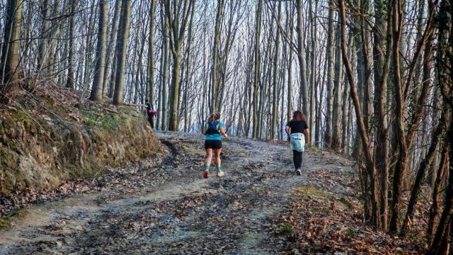 Informazio horretatik kanpoko irudia.