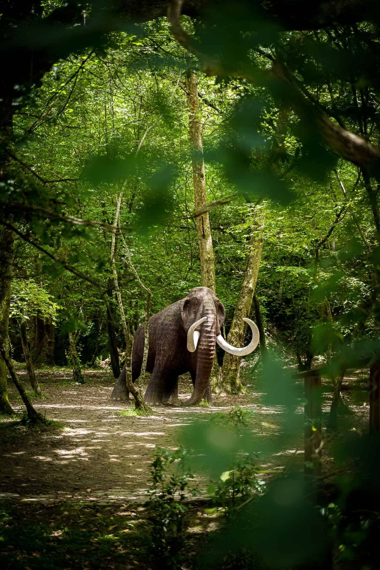 Parque Paleolítico de la Cueva del Valle