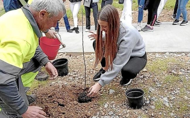 Ikasle bat ale bat landatzen. | ARGAZKIA: N.G. Ikasle bat ale bat landatzen. | ARGAZKIA: N.G.