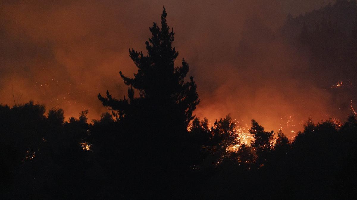 Los incendios forestales arrasan Chile: 40.000 hectáreas calcinadas y al menos 20 fallecidos